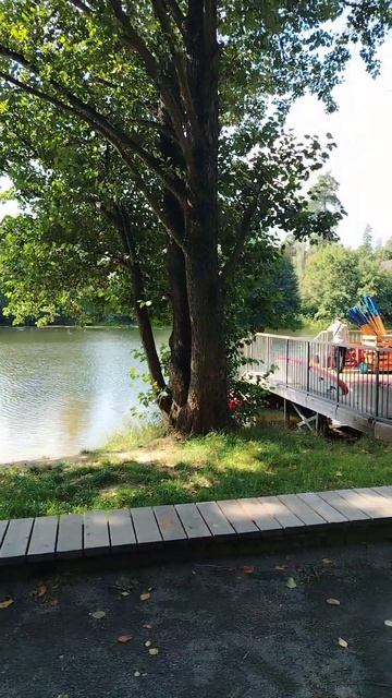 река в парке 🏞️