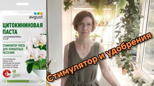 Пробуждаю почки на адениуме,🌿 а на орхидее - цветоносы.🌷 И мой метод удобрения растений.💦