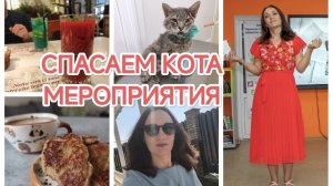 ВЛОГ/СПАСАЕМ КОТА/МУСЯ СТАЛА ДОНОРОМ/ДАЮ ИНТЕРВЬЮ/МЕРОПРИЯТИЕ КО ДНЮ МОЛОДЁЖИ/КОНЦЕРТ ПЛАМЕНЕВА
