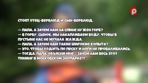 «Помогите Даше» 17.08.2026