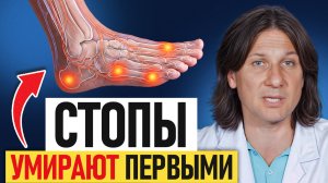 Всё начинается со СТОП! / Почему болят колени и спина, а лечить нужно ноги