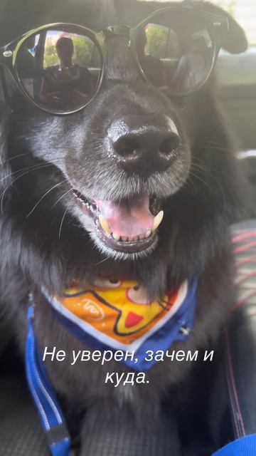 Мама устроила мне свидание