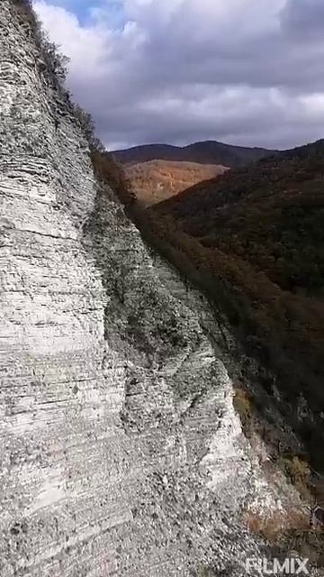 флора и фауна