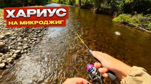 С микроджигом на ХАРИУСА, лопает силикон вместо мух