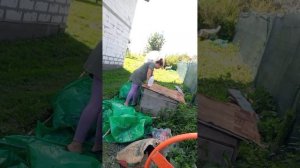 #воскресенье#дача#деньсурка
16.08.2026