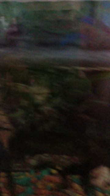 новый аквариум для рыбок