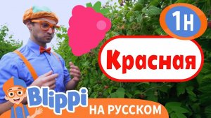 Ягода-малинка! 🍓☀️ Танцуем, поем и учим ягоды! Детские песни