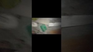 ёжик