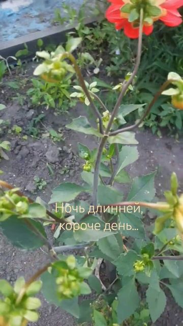 Ночь длинней, короче день...