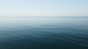 Спокойное море, фон // футаж
