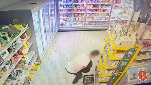 Сотрудниками уголовного розыска задержан подозреваемый в хищении товаров из сетевых магазинов