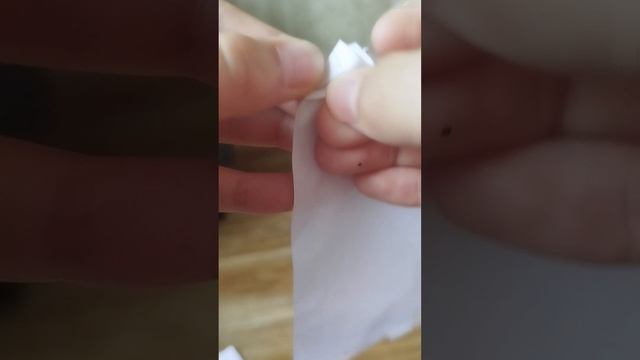 1000049120.mp4