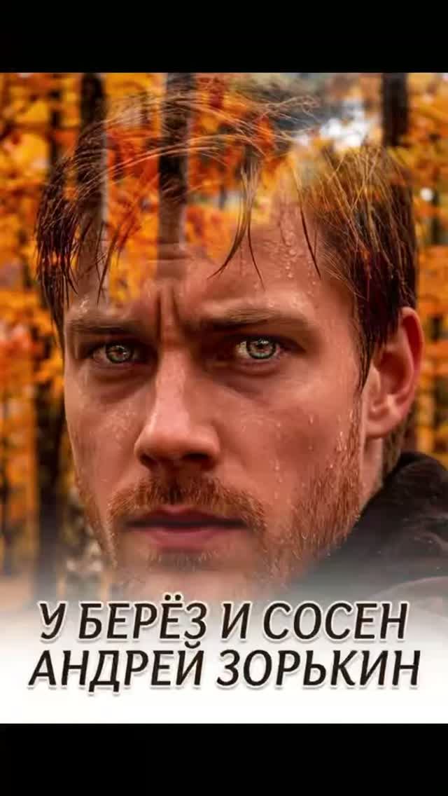 У берёз и сосен