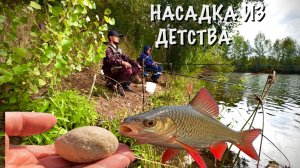 как ловить плотву и красноперку и на что