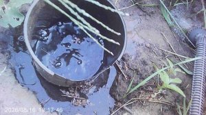 Обзор дыни сорта Шаранте и полив её во влагозарядковые ямочки