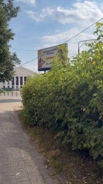По проспекту Ленина — сквозь эпохи: Электросталь в кадре