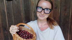 VLOG | Мой август на даче 2026: собираю крыжовник 🧺.