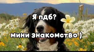 /🌿🏞️ Я теперь пдб?🌾Видео мини знакомство :3 💚