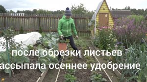 6 соток 13 августа 2026 года. 1 часть