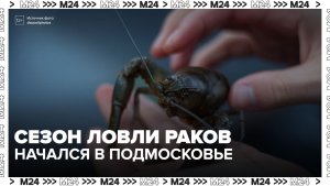 Сезон ловли раков начался в Подмосковье - Москва 24