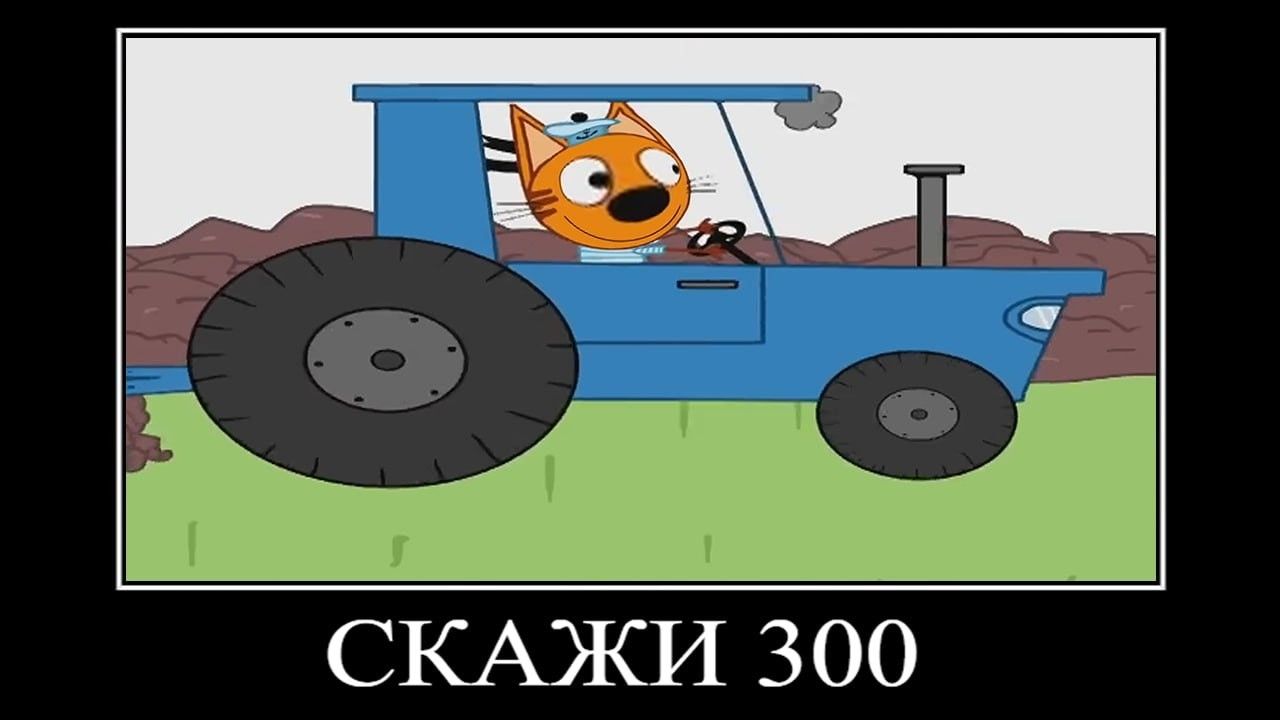 три кота демотиватор поля мела 🖼️