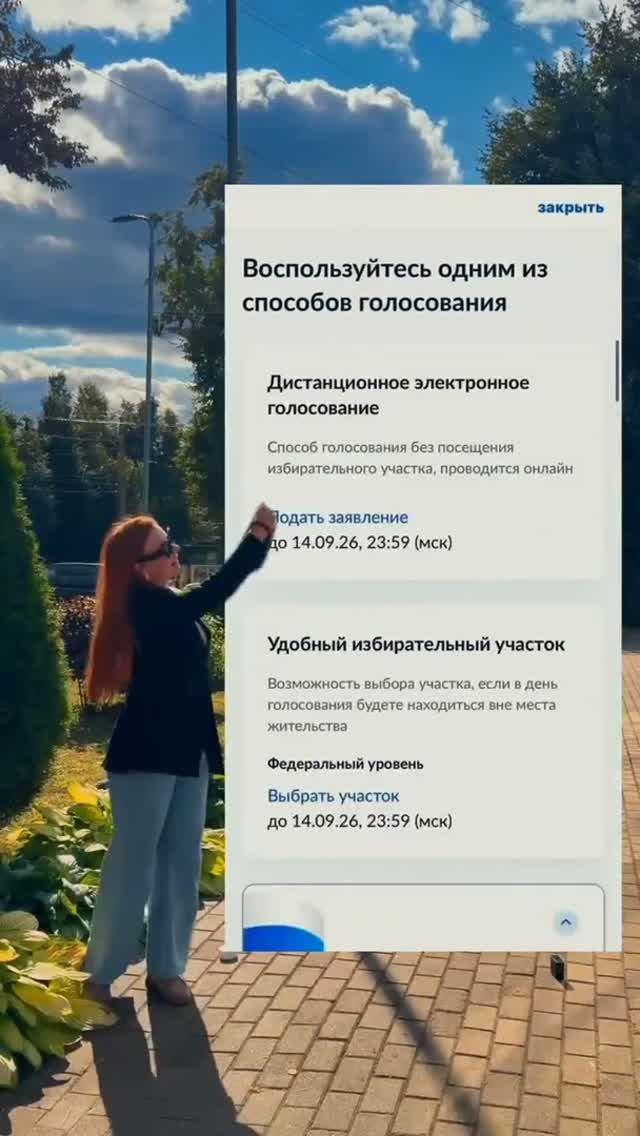 Легко и быстро: оформляем участие в дистанционном электронном голосовании