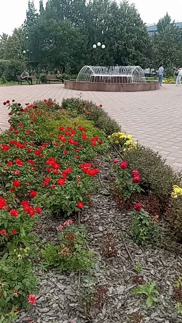VID_20260817_143826 Красота