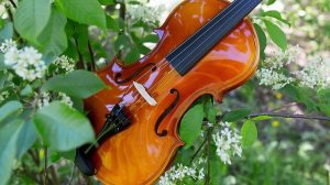 Скрипка музыка. Современная скрипка. Спокойная скрипка. Красивая скрипка. Грустная скрипка без слов