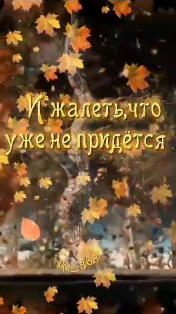 Господи, как же быстро… Я оглядываюсь назад, а там не годы, а одно мгновение. Песок сквозь пальцы.