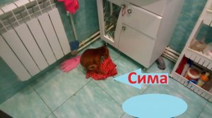 Бесплатные клининг-услуги