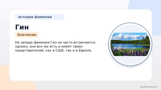 Фамилия Гин: происхождение, значение и склонение