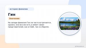 Фамилия Гин: происхождение, значение и склонение