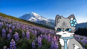ВАЖНАЯ НОВОСТЬ! ОПИС!!