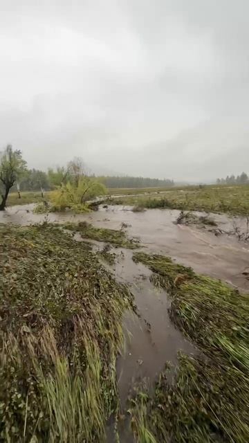 Техника Превосходства