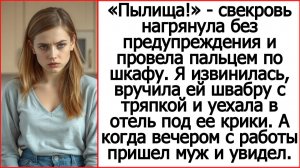«Пылища!» - заорала свекровь. А когда я вручила ей швабру. Истории из жизни про свекровь.