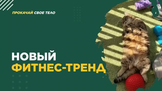 СОХРАНИ ВИДЕО О НОВОМ ТРЕНДЕ