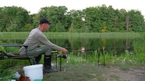 Рыбалка на фидер летом. Ловля разной рыбы на берегу красивой реки.