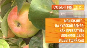 Мой бизнес - на Курской земле как превратить любимое дело в цветущий сад