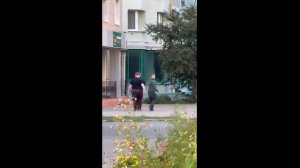 Энгельсские чиновники показали кадры с подозреваемыми в краже бычков