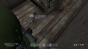 Выживаю в Dayz