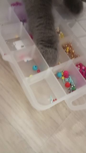 уборочка пошла не по плану🤦😺🐈😽♥️