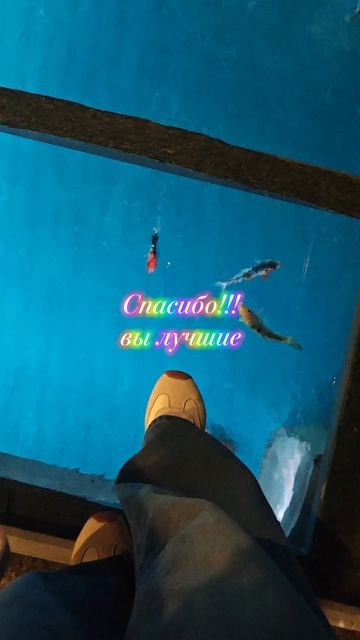 Спасибо всем❤️