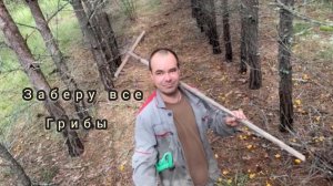 С граблями за грибами собираю грибы с помощью граблей гребу грибы