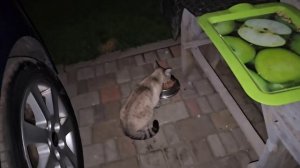 Помогаю Светлане!
