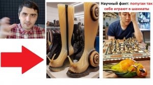 Эти мемы РАССМЕШАТ даже самого унылого упыря))) Новые МЕМЫ