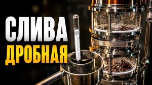 Дробная перегонка Сливы в белую. Как получить ароматную Сливовицу