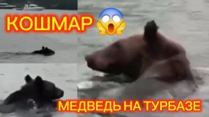 Медведь. Бухта Капитанов на Байкале.