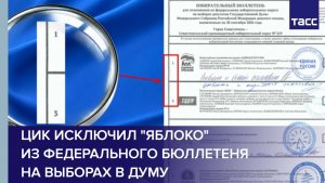 ЦИК исключил «Яблоко» из федерального бюллетеня на выборах в Думу