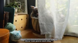 Kiko Sabi Визуальный дневник #131  Замедляюсь и занимаюсь творчеством в своем темпе  Медленная жизнь