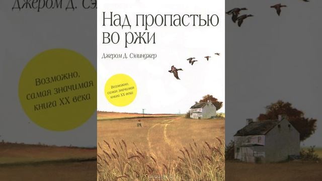 Над пропастью во ржи
